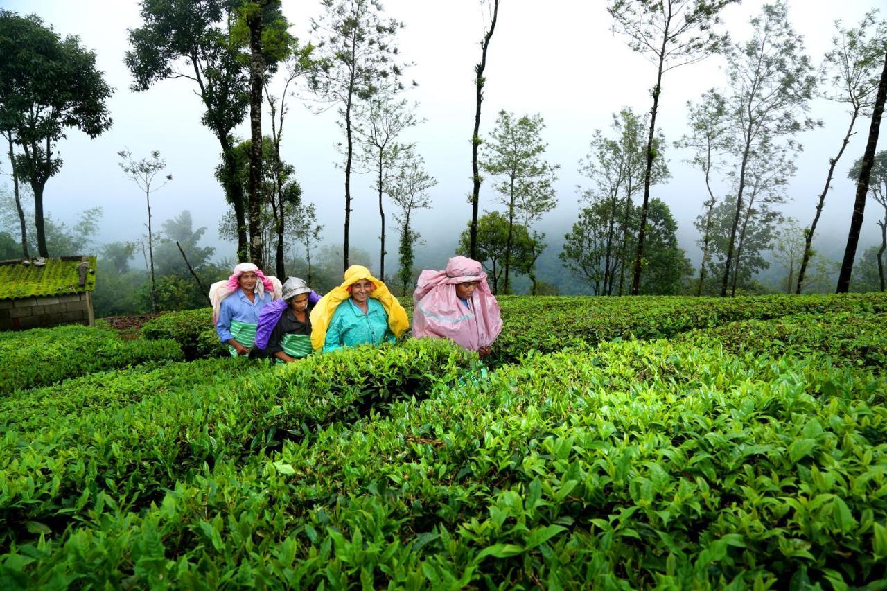 Winter Vale Green Stay Resorts Vagamon Esterno foto
